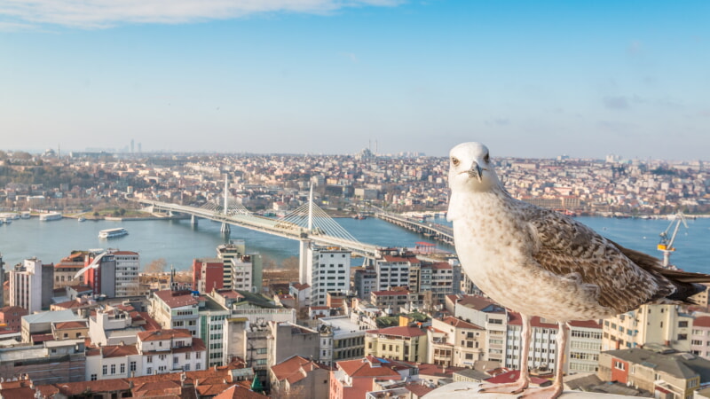 Kaufen Sie eine Wohnung in der Türkei